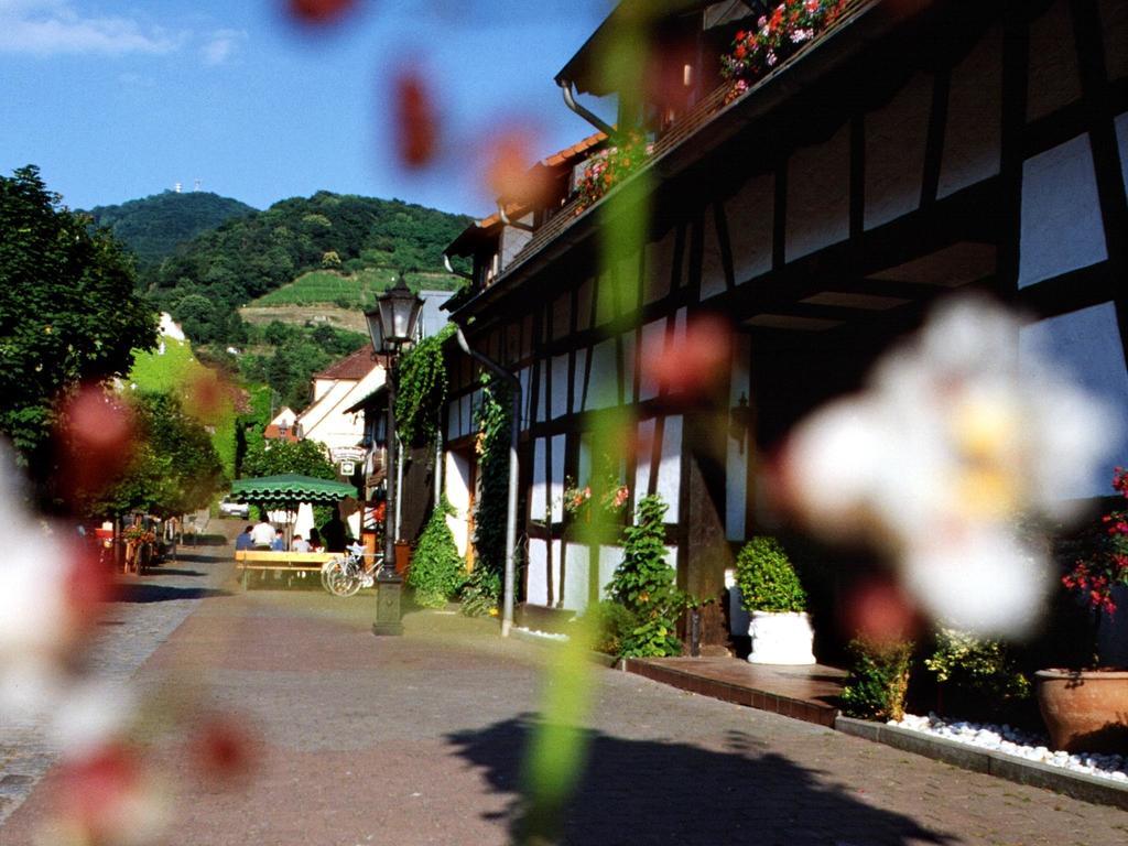 Hotel Garni Zur Bergstrasse Zwingenberg  Luaran gambar